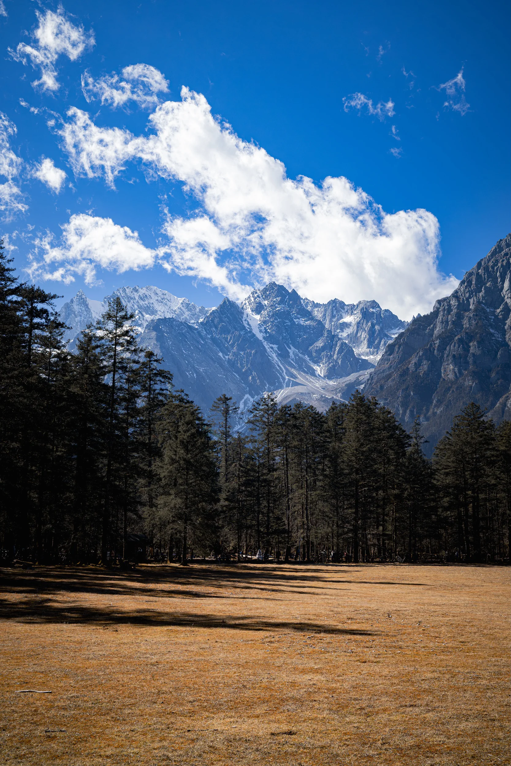 Vertical landscape detail in Lijiang
