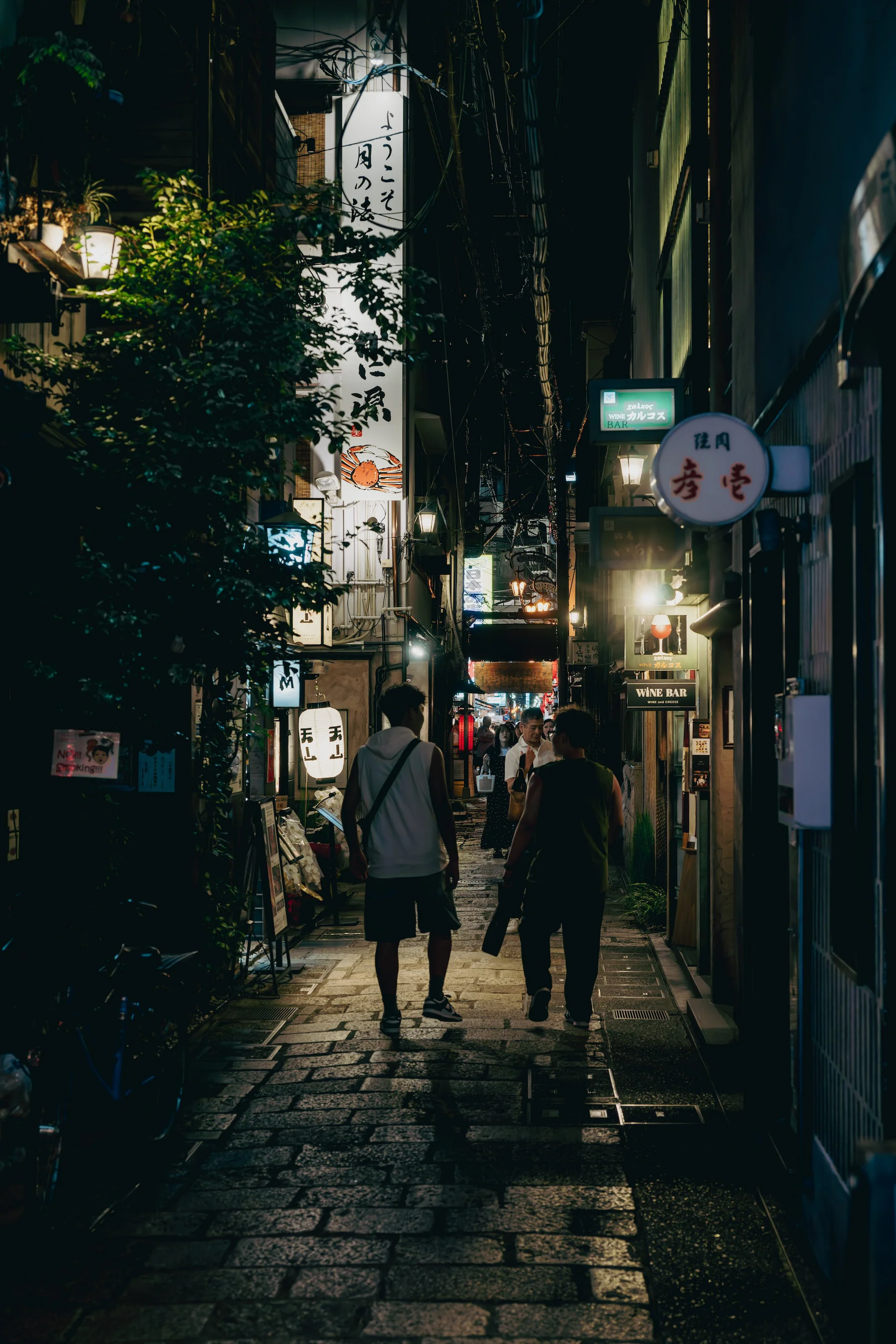 Osaka travel photograph at night