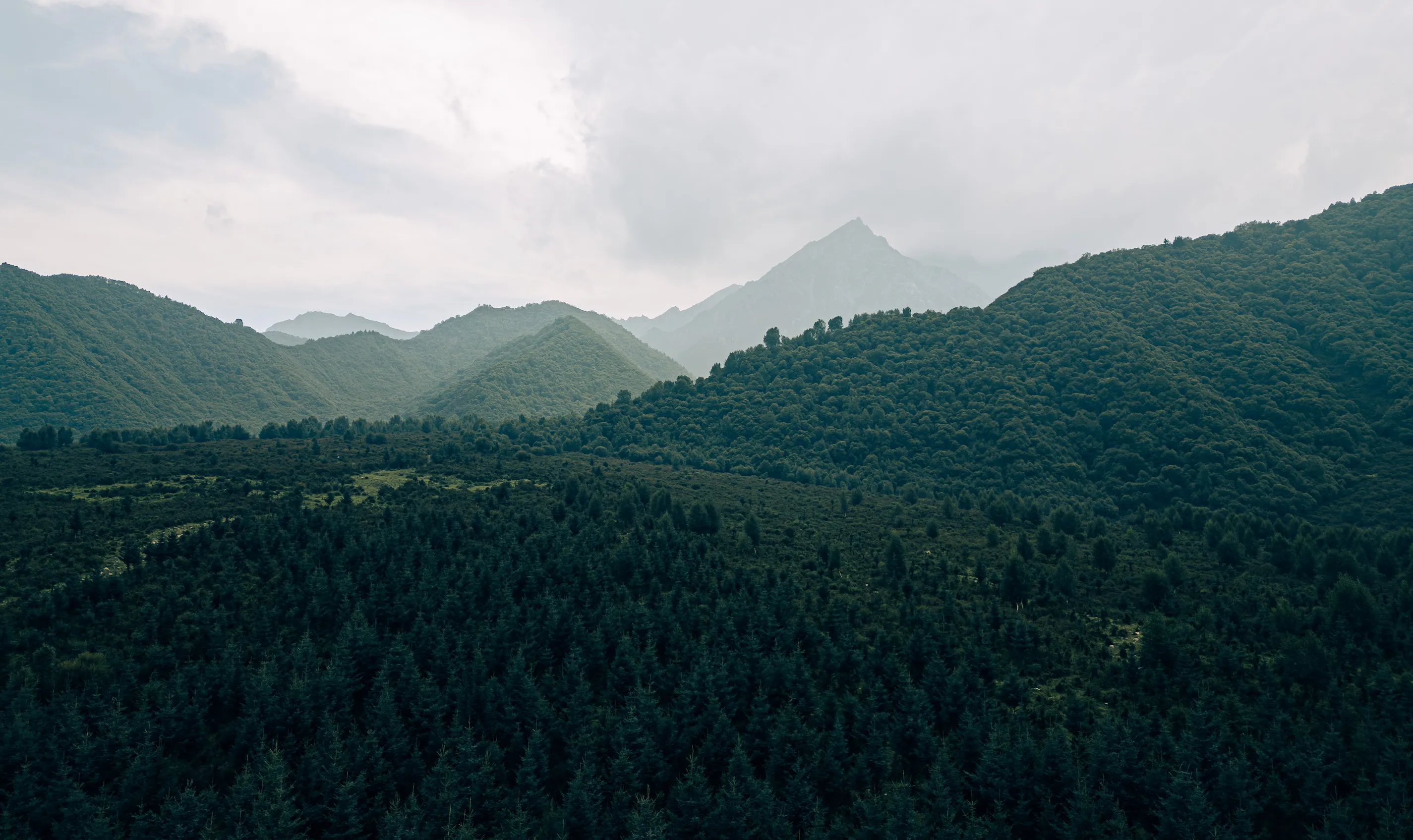 Grassland and mountains in Qunjia National Park
